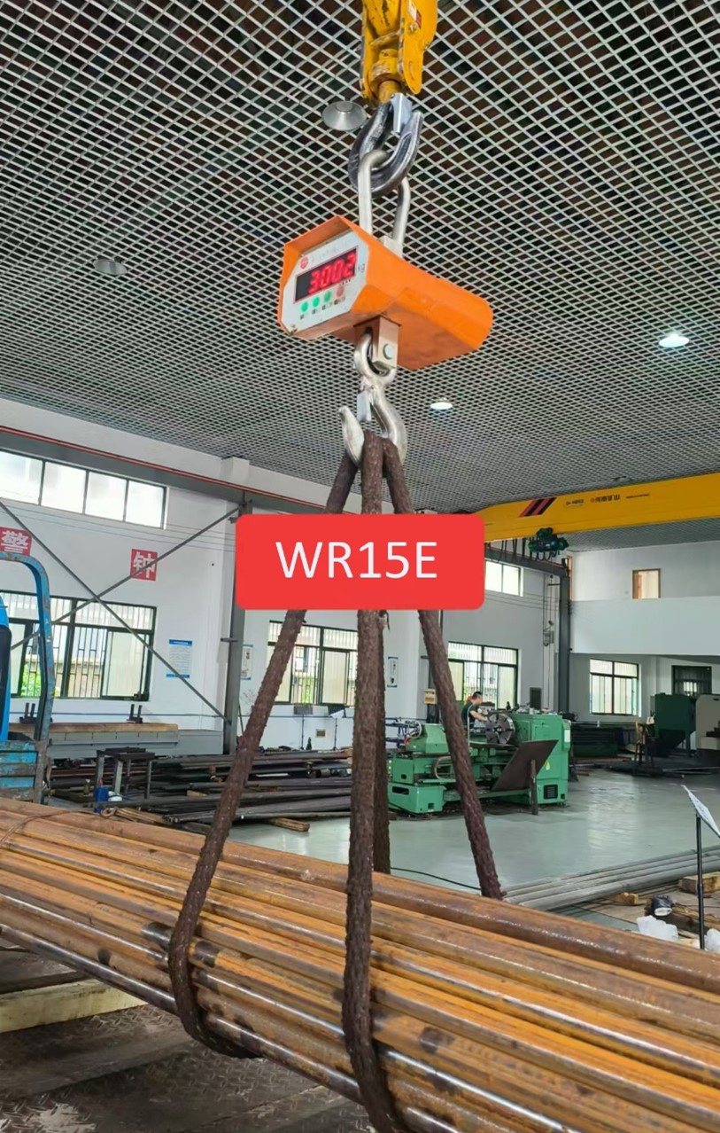 01.jpg 01.jpg